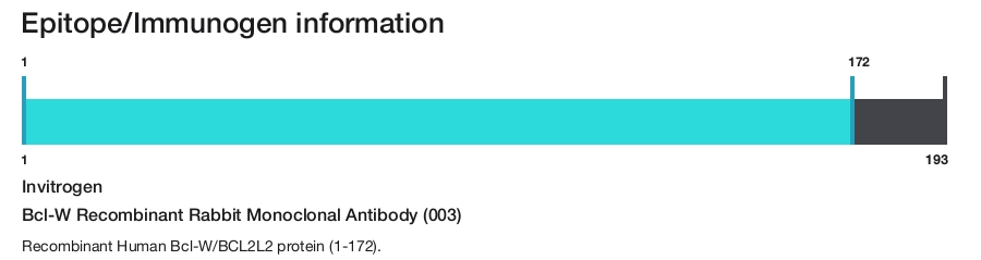 Bcl-W Recombinant Rabbit Monoclonal Antibody (003)