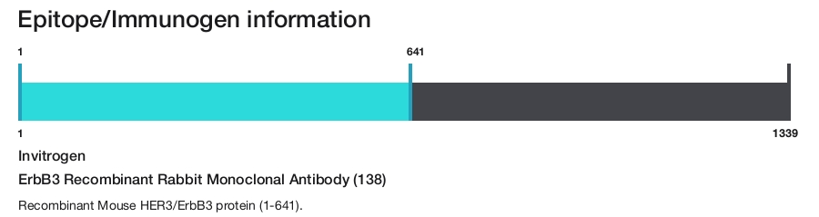 ErbB3 Recombinant Rabbit Monoclonal Antibody (138)