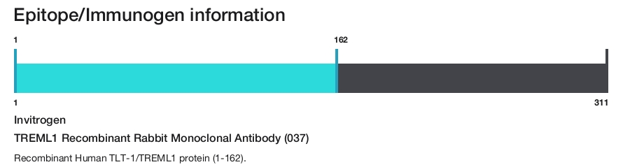 TREML1 Recombinant Rabbit Monoclonal Antibody (037)