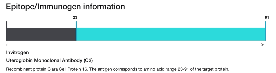 Uteroglobin Monoclonal Antibody (C2)