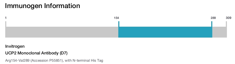 UCP2 Monoclonal Antibody (D7)