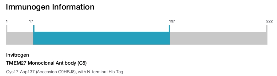 TMEM27 Monoclonal Antibody (C5)