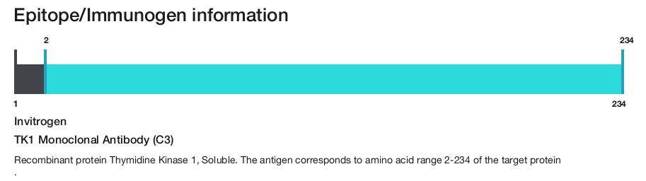 TK1 Monoclonal Antibody (C3)