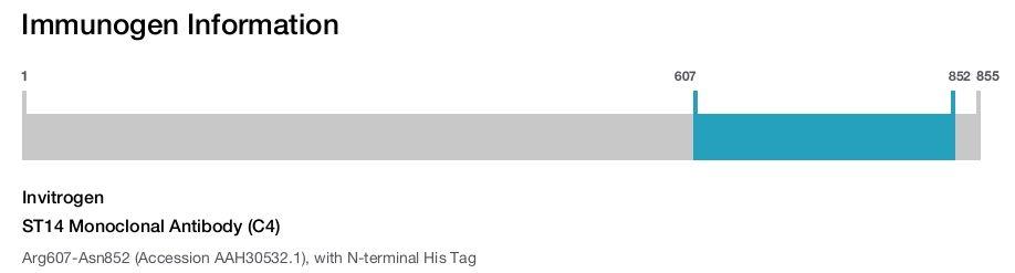 ST14 Monoclonal Antibody (C4)