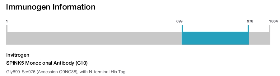 SPINK5 Monoclonal Antibody (C10)
