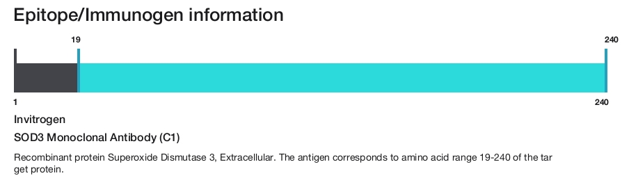SOD3 Monoclonal Antibody (C1)