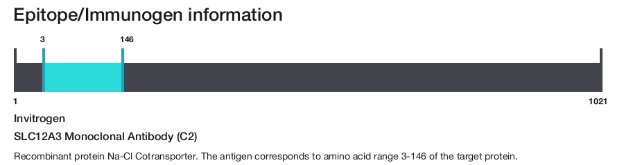 SLC12A3 Monoclonal Antibody (C2)