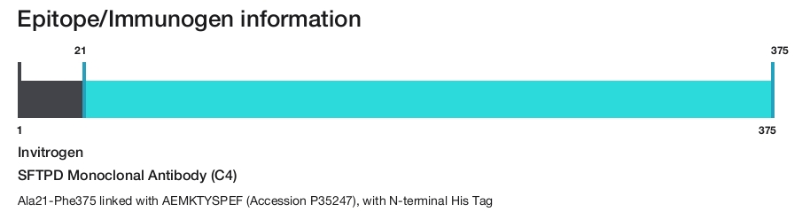 SFTPD Monoclonal Antibody (C4)