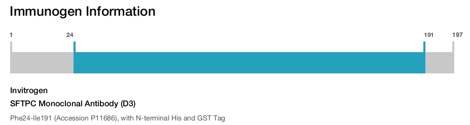 SFTPC Monoclonal Antibody (D3)