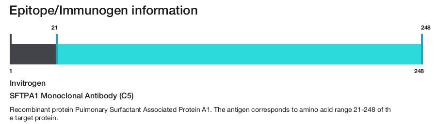 SFTPA1 Monoclonal Antibody (C5)