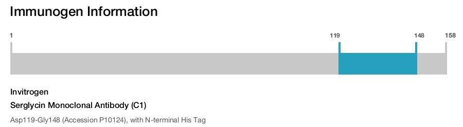 Serglycin Monoclonal Antibody (C1)