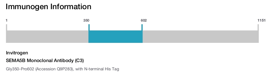 SEMA5B Monoclonal Antibody (C3)