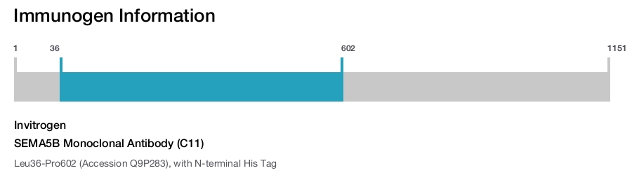 SEMA5B Monoclonal Antibody (C11)