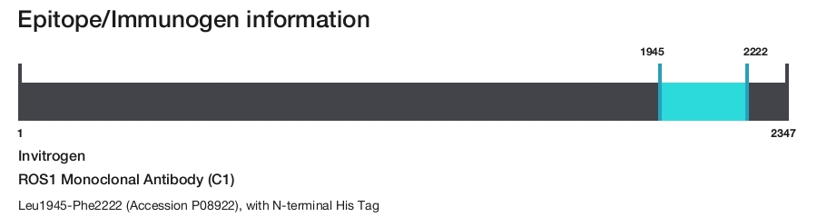 ROS1 Monoclonal Antibody (C1)