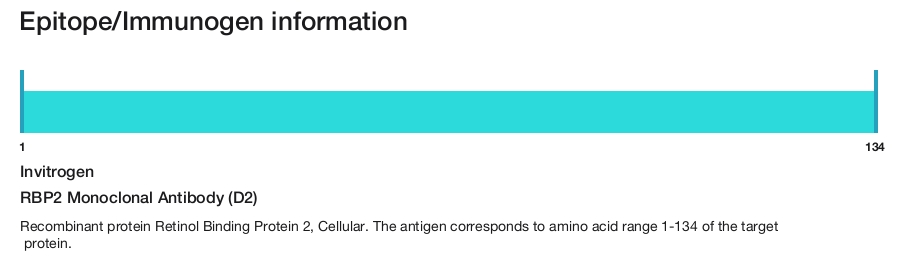 RBP2 Monoclonal Antibody (D2)
