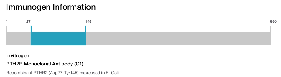 PTH2R Monoclonal Antibody (C1)