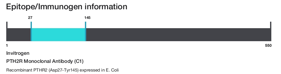 PTH2R Monoclonal Antibody (C1)