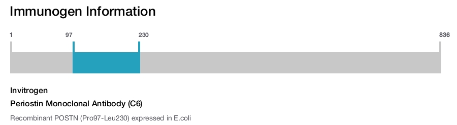 Periostin Monoclonal Antibody (C6)