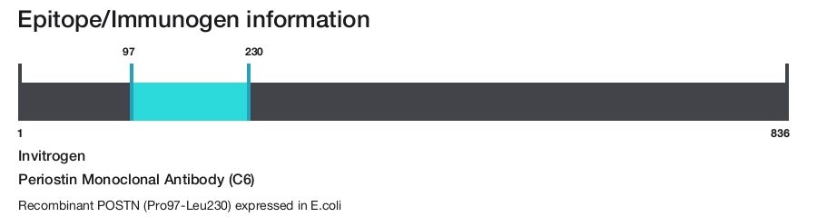 Periostin Monoclonal Antibody (C6)