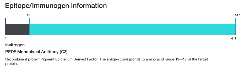 PEDF Monoclonal Antibody (C3)