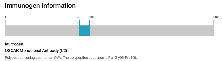 OSCAR Monoclonal Antibody (C2)