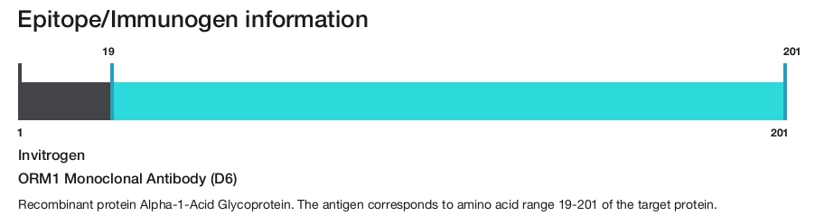 ORM1 Monoclonal Antibody (D6)