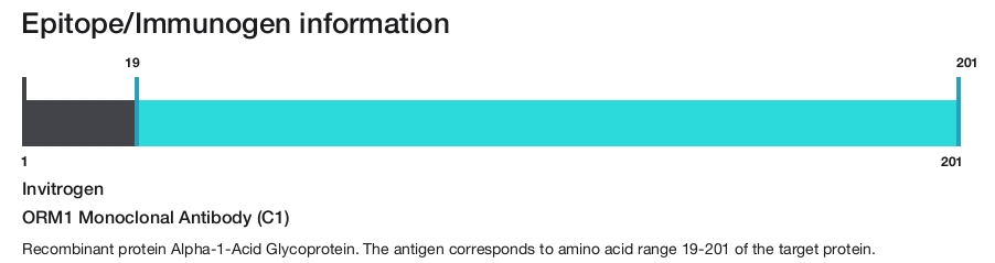ORM1 Monoclonal Antibody (C1)