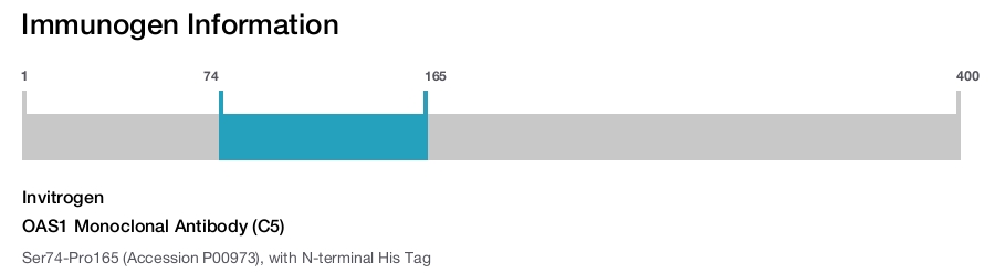 OAS1 Monoclonal Antibody (C5)