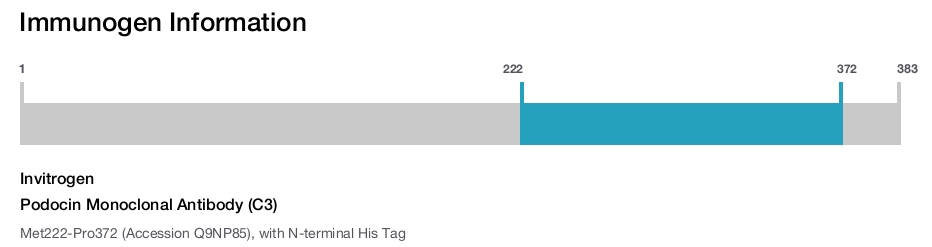 Podocin Monoclonal Antibody (C3)