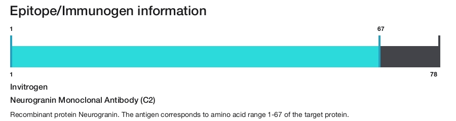 Neurogranin Monoclonal Antibody (C2)