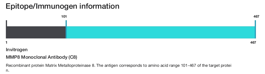 MMP8 Monoclonal Antibody (C8)