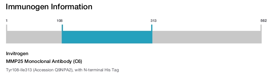 MMP25 Monoclonal Antibody (C6)