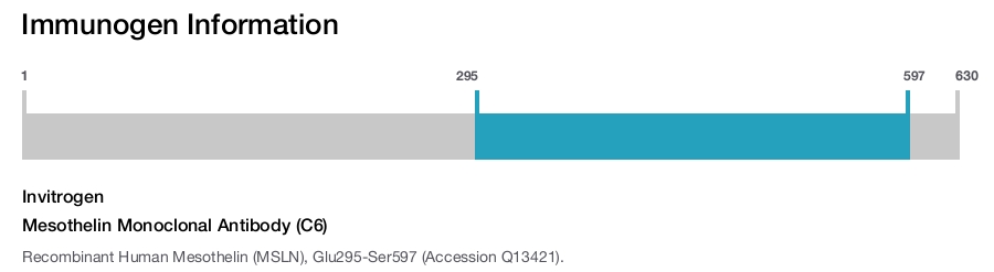 Mesothelin Monoclonal Antibody (C6)