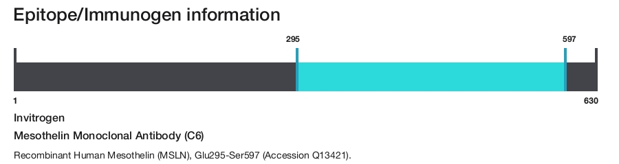 Mesothelin Monoclonal Antibody (C6)