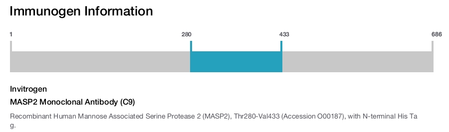 MASP2 Monoclonal Antibody (C9)