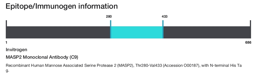 MASP2 Monoclonal Antibody (C9)