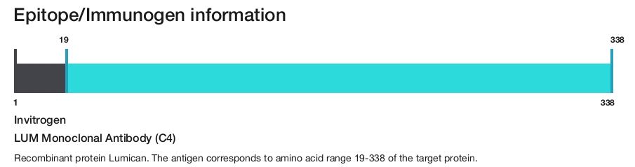 LUM Monoclonal Antibody (C4)