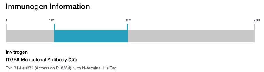 ITGB6 Monoclonal Antibody (C5)