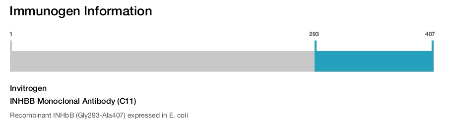 INHBB Monoclonal Antibody (C11)