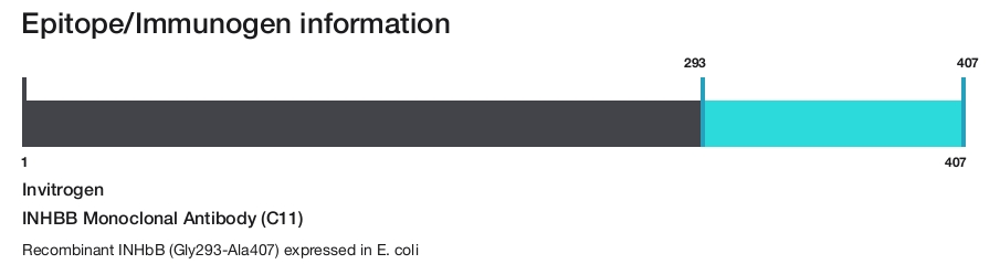 INHBB Monoclonal Antibody (C11)