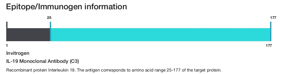 IL-19 Monoclonal Antibody (C3)