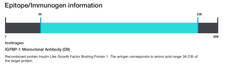 IGFBP-1 Monoclonal Antibody (D9)