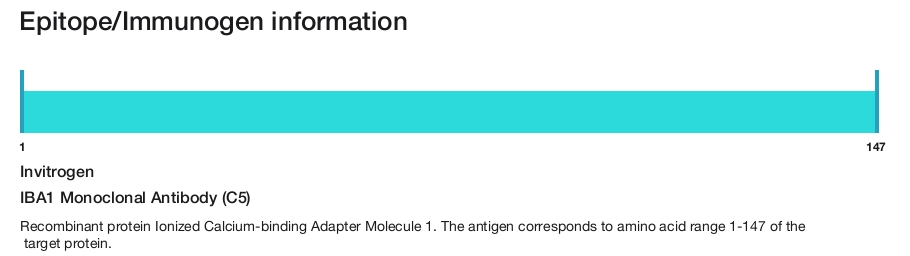 IBA1 Monoclonal Antibody (C5)