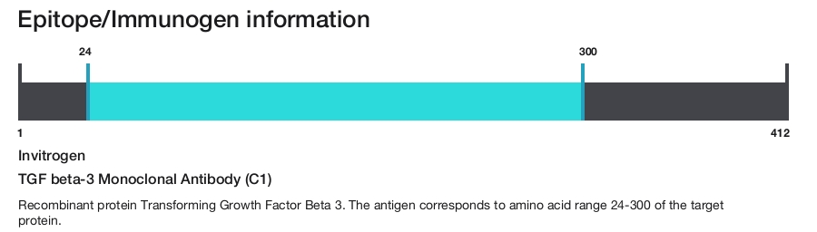 TGF beta-3 Monoclonal Antibody (C1)