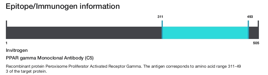 PPAR gamma Monoclonal Antibody (C5)