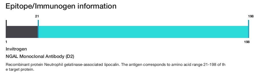 NGAL Monoclonal Antibody (D2)