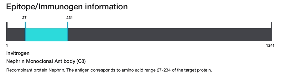 Nephrin Monoclonal Antibody (C8)