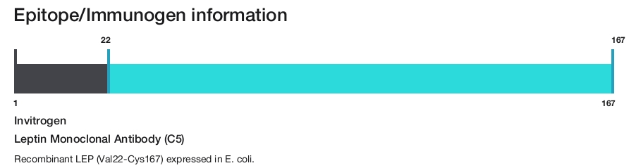 Leptin Monoclonal Antibody (C5)