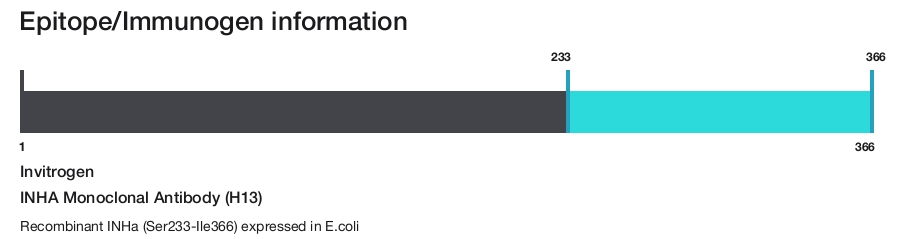INHA Monoclonal Antibody (H13)