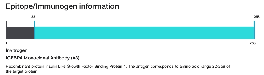IGFBP4 Monoclonal Antibody (A3)